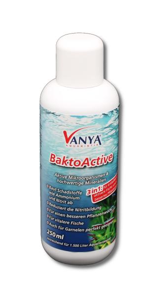 Vanya BaktoActive